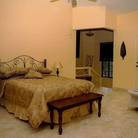 Tower Studio In The Treetops In Altos Del Maria Panama El Picacho Luaran gambar