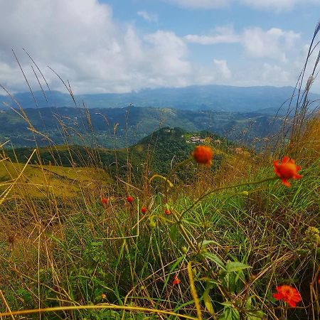 Tower Studio In The Treetops In Altos Del Maria Panama Apartment El Picacho Luaran gambar