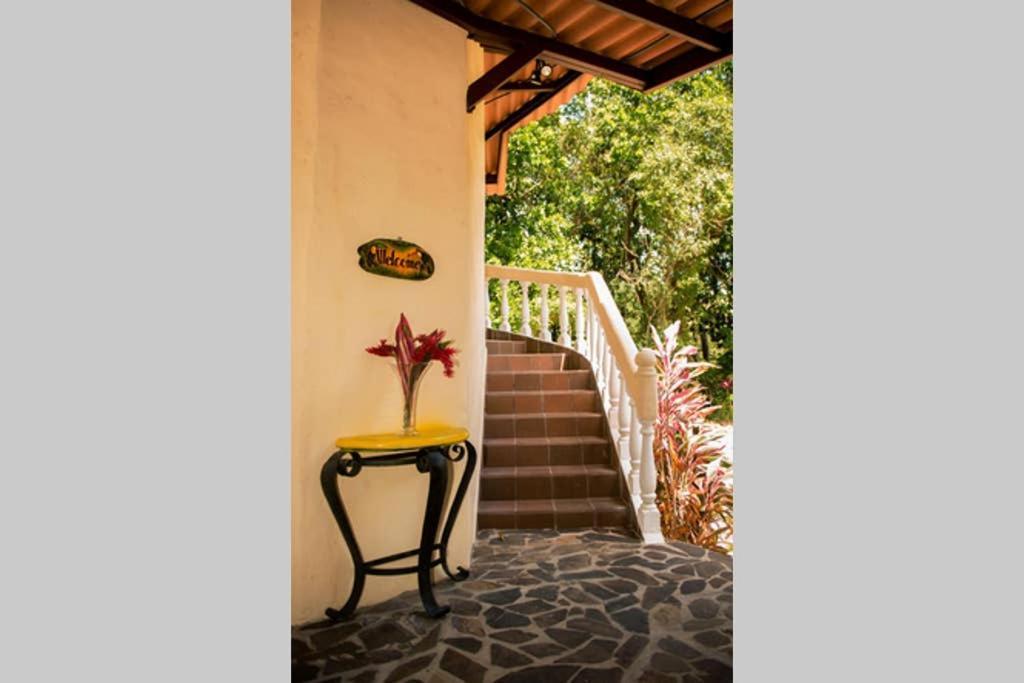 Tower Studio In The Treetops In Altos Del Maria Panama El Picacho Luaran gambar