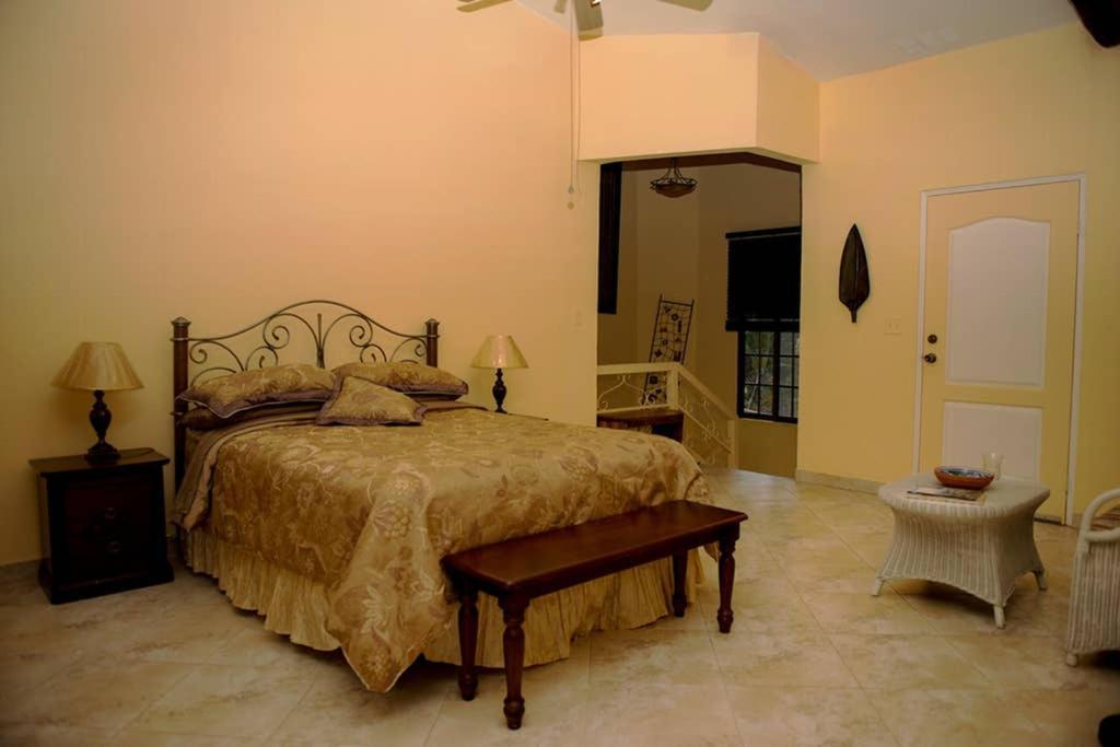 Tower Studio In The Treetops In Altos Del Maria Panama El Picacho Luaran gambar