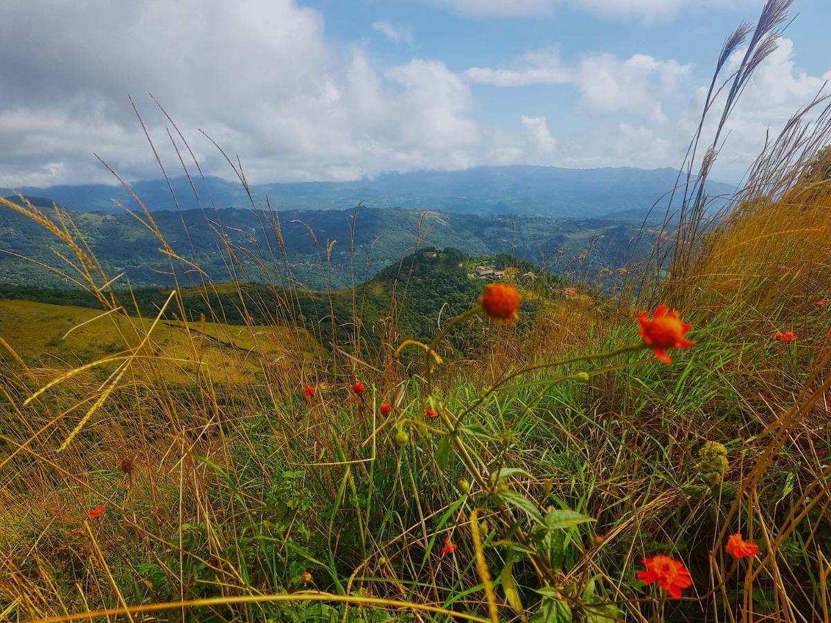 Tower Studio In The Treetops In Altos Del Maria Panama Apartment El Picacho Luaran gambar