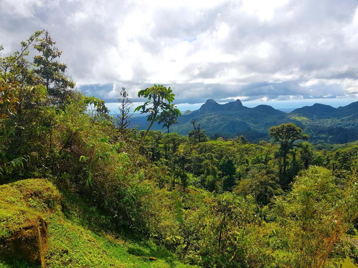 Tower Studio In The Treetops In Altos Del Maria Panama El Picacho Luaran gambar