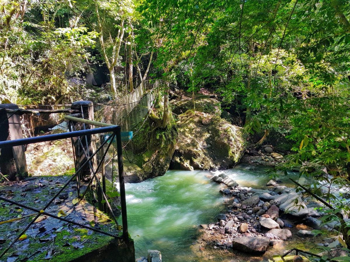 Tower Studio In The Treetops In Altos Del Maria Panama El Picacho Luaran gambar