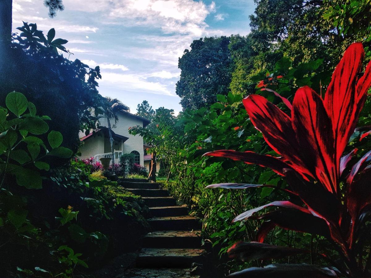 Tower Studio In The Treetops In Altos Del Maria Panama Apartment El Picacho Luaran gambar