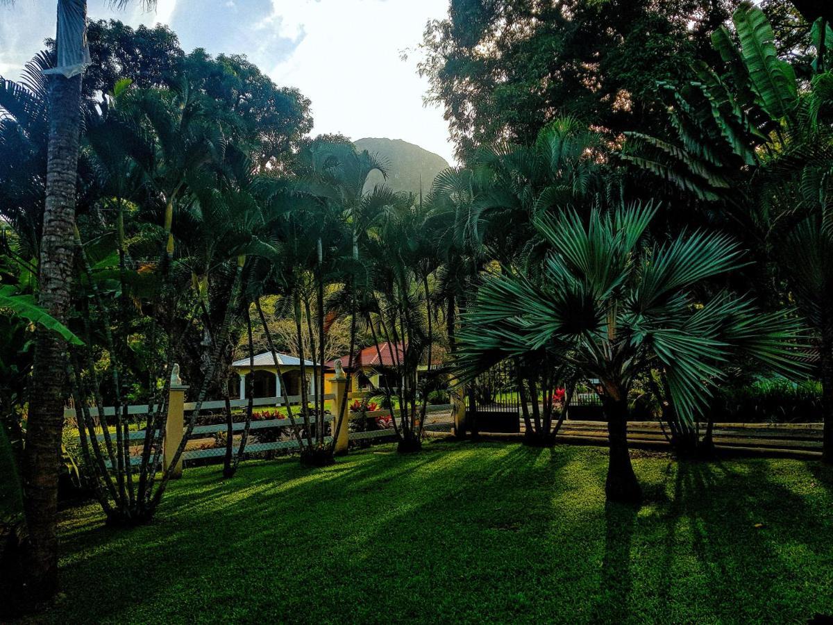Tower Studio In The Treetops In Altos Del Maria Panama El Picacho Luaran gambar